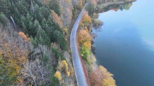 Aerial View of Road and Lake in Autumn