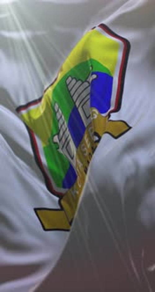 Vertical Animated Emblem on Waving Realistic Flag Fabric