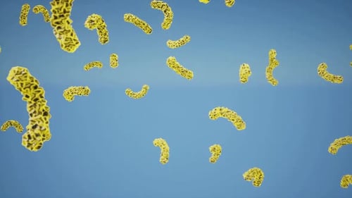 3d animation Virus that attacks the stomach