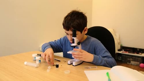 Young Boy Uses Microscope in Bright Indoor Setting