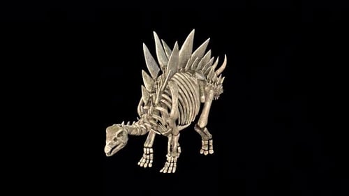 Stegosaurus Skeleton Run Idle 2