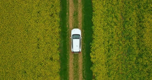 Aerial View Electric Car Driving on Country Road Luxury Modern Vehicle Riding Fast Along Trees and