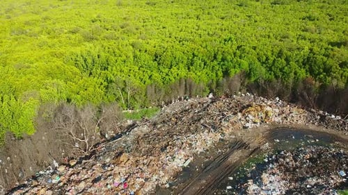 Aerial View of Landfill Adjacent to Forest
