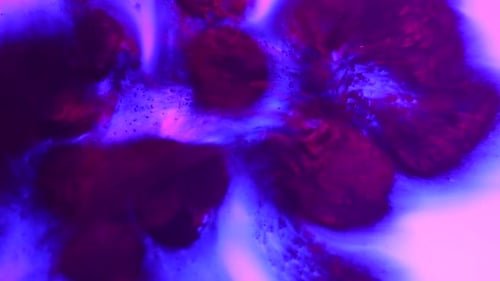 Vibrant Colored Water Surface with Purple Ink Drops Blowing By Wind Abstract Background Slow Motion