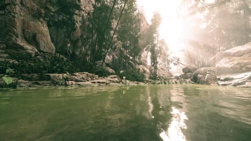 Bright Sunlight Filtering Through Trees Above a Serene Forest Pond