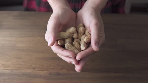 Woman Holding Peanuts in Shells Close Up