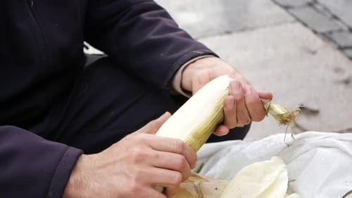 Hands Peeling Fresh Corn Outdoors