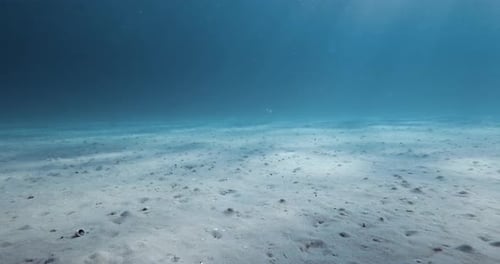 Transparent Blue Ocean with Sandy Sea Bottom and Sun Light Underwater