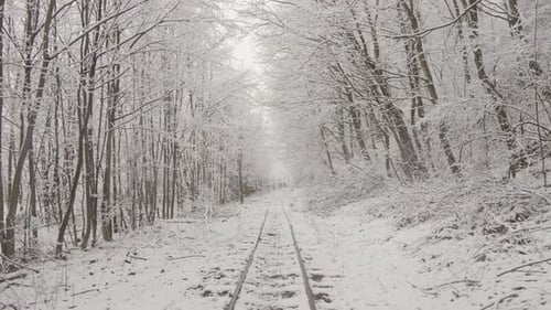 Snowy Train Tracks Through Winter Forest