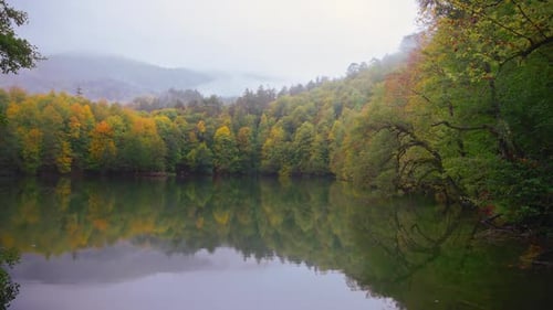 Misty Forest Reflections on a Calm Lake