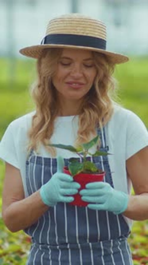 A Woman Tending to Her Garden While Surrounded By Potted Plants in a Bright Greenhouse