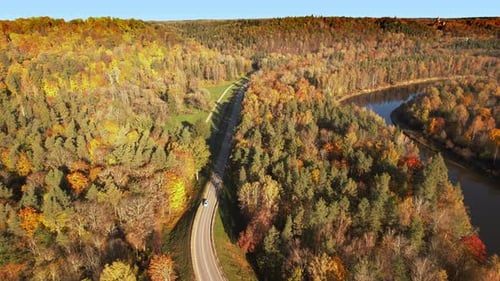 Autumn landscape with winding road through colorful forest in daylight