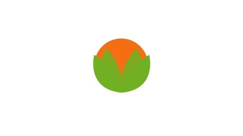 Cabbage symbol icon animation video