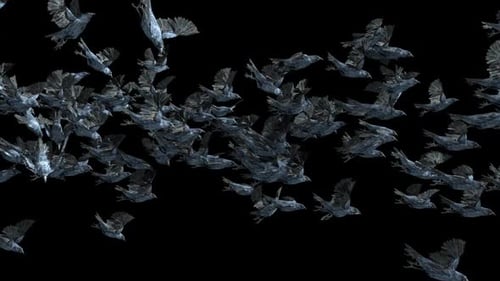 Flying Flock of Crows with Alpha Channel
