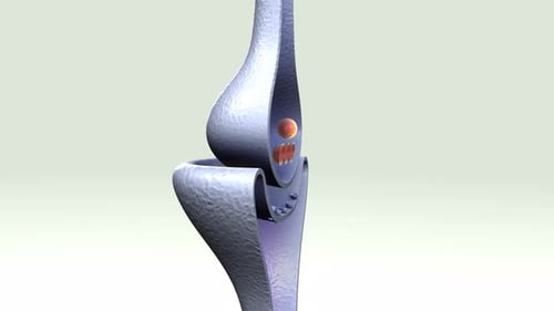 Illustration médicale du processus de transmission synaptique chez l'homme