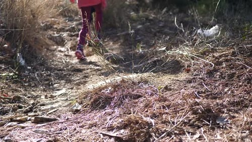 Brother and sister walking together on a dangerous path in the forest. Slow-motion gimbal shot.