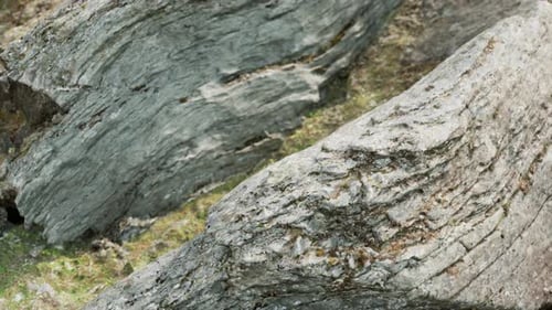 Close Up of Rocky Stones Formation