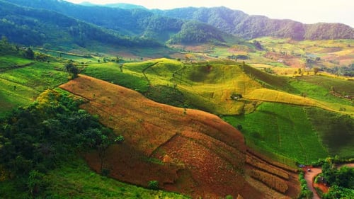 Aerial View of Green Agricultural Fields in Mountains
