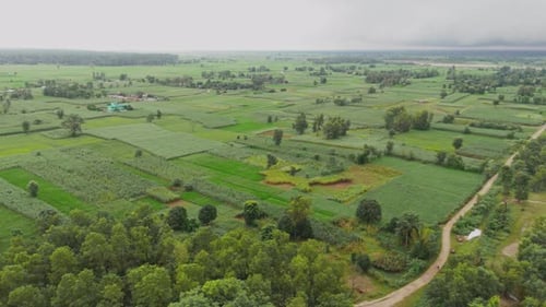 Green Farming Land – Lush Agricultural Fields and Rural Countryside Landscape