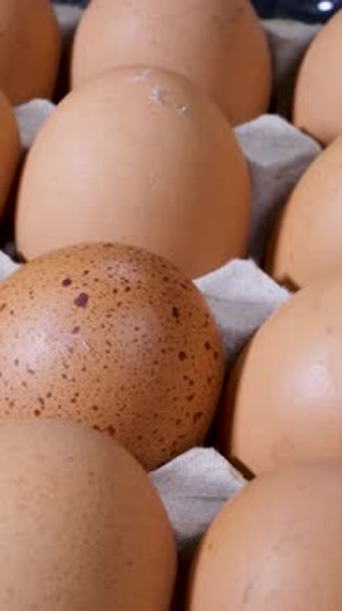 Close Up of Fresh Brown Eggs in Carton