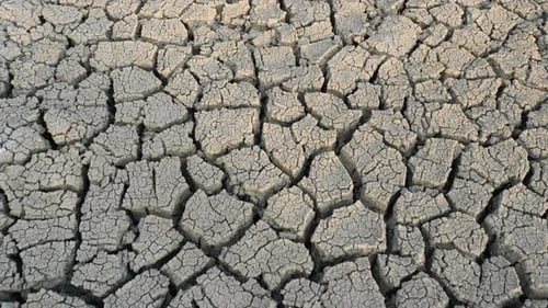 Dry Cracked Earth Indicating Climate Change Impacts