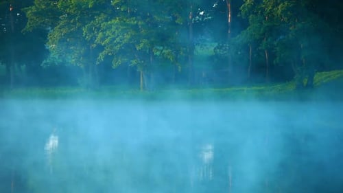 Mist Over Lake in Forest/Fog Over Water Surface/Foggy Morning at Forest Lake/Morning