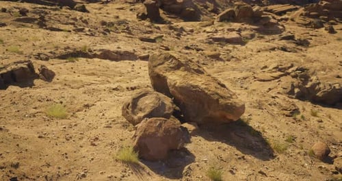 Rocky Landscape Featuring Scattered Boulders and Dry Vegetation Under Sunlight
