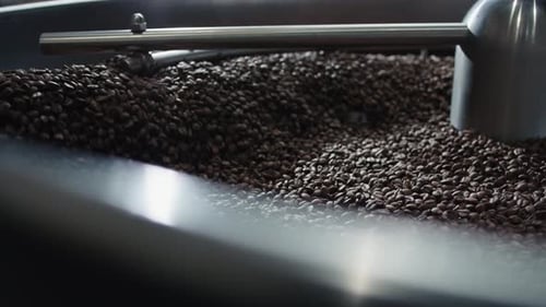 Coffee beans rotating in a stainless steel roaster