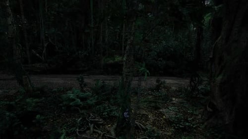 Realistic Velociraptor Walking in Dark Jungle Animation