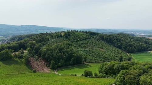Luftaufnahme von Waldabholzung und Landschaftsschäden