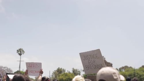 Crowd of People Holding Signs at Protest