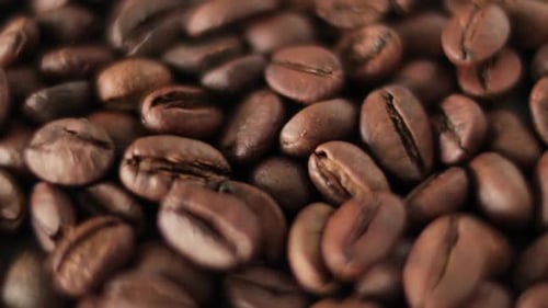 Closeup Coffee Beans Rotate Roasted Coffee Beans are Spinning in a Circle