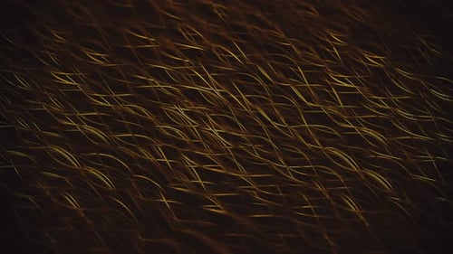 Dark Gold String Intertwining