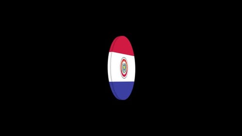 Flag of Paraguay 3d icon