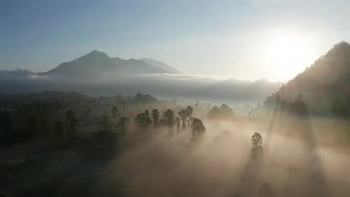 Sun rays glow over morning fog in valley from aerial perspective. Atmospheric, moody and dreamy conc