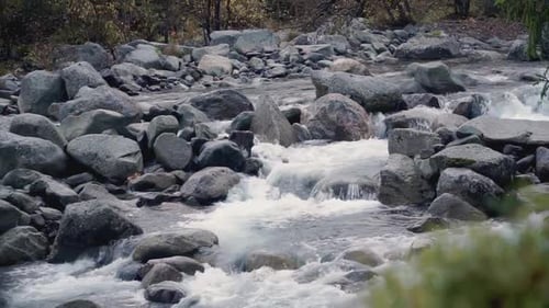 Waterfall From Stones on a Stream Clip Stream in the Forest Water Flows Down From the Stones From