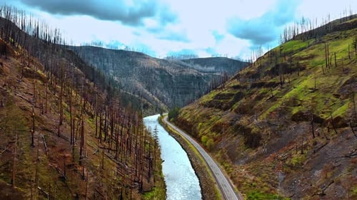 Flying above the river flowing among the mountains. Trunks of dead trees cover the slopes of rocks.
