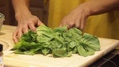 A woman cuts fresh romaine lettuce, preparing it for a healthy salad or dish with crisp, green leave