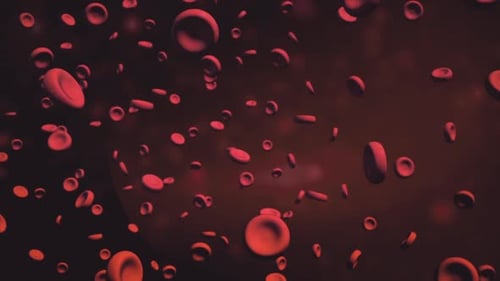 Animated Red Blood Cells Flowing Through a Bloodstream