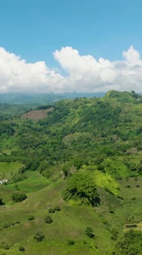 Paysage tropical avec montagne tropicale à Mindanao aux Philippines