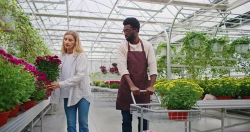 Woman Walking Next to Manager with Glasses in Middle of Long Greenhouse Female Picking Up Plant with