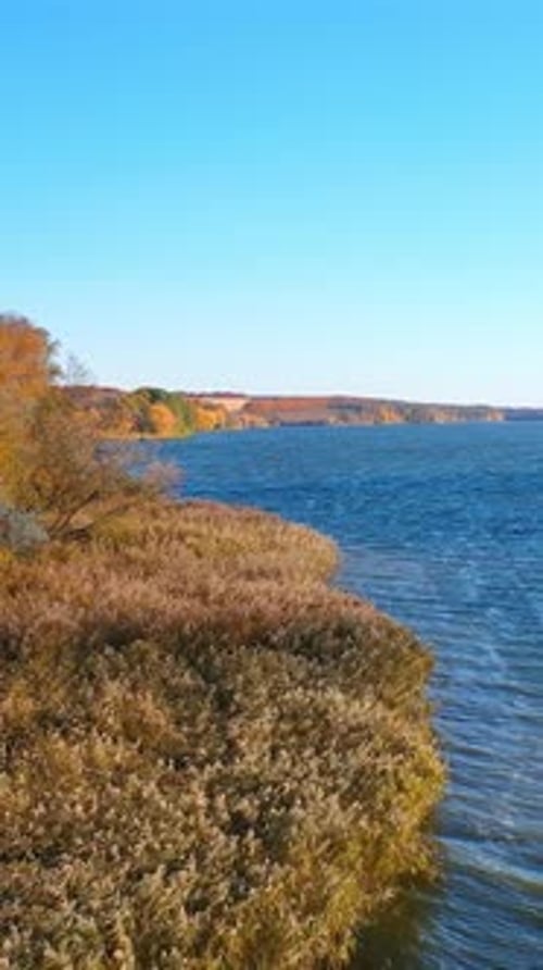 River landscapes autumn scenery. Beautiful natural outdoor travel sceneries. Vertical video