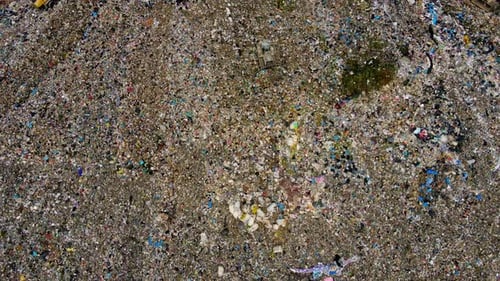 Birds Fly Over the City Dump