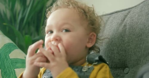 Adorable Child Eating Red Apple on Gray Couch