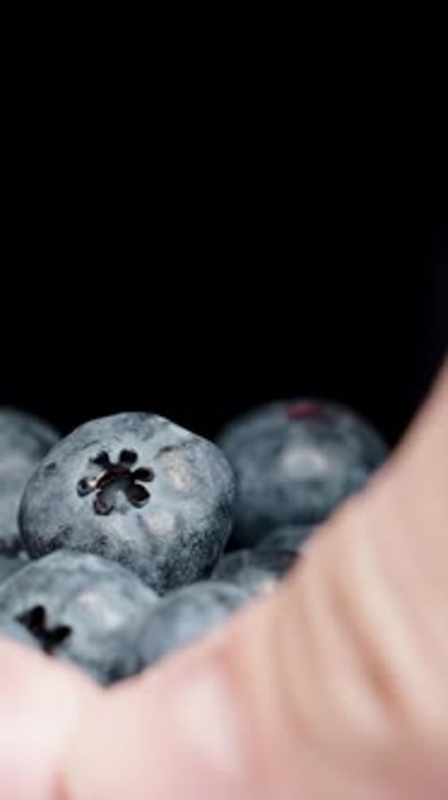 Vertical video. Male hands gather blueberries from both sides and scatter the berries, close-up.