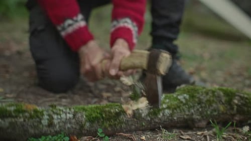 Close Up View of Man Chopping Mossy Log with Axe in Forest