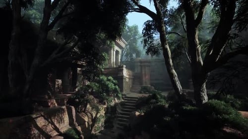 Dense Forest With Numerous Trees