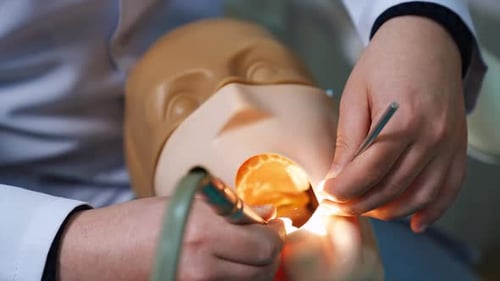 Practicing the dental care on the dummy. Male hand apply the drill on the mannequin. Close up.