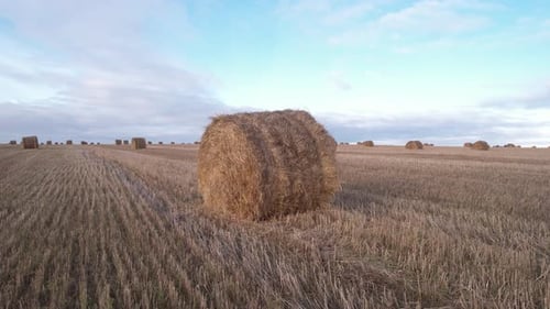Around The Haystack In The Field
