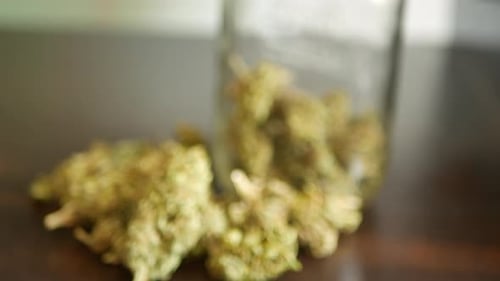 LOOPING Marijuana buds on desk, for recreational or prescription medicinal weed smoking.